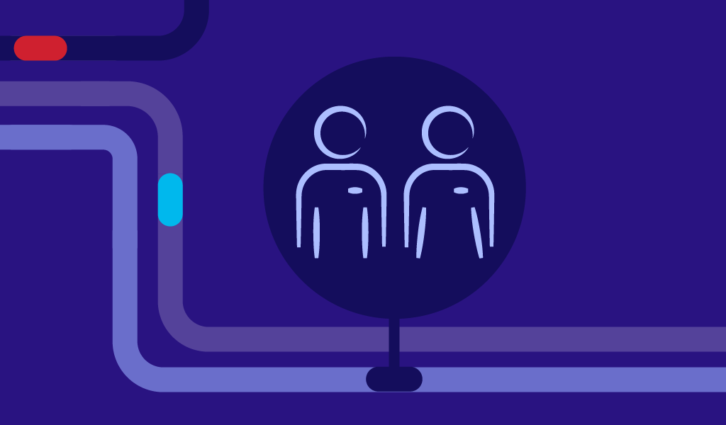 Customer - Domain